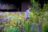 Nigel Dunnett | From Grey to Green