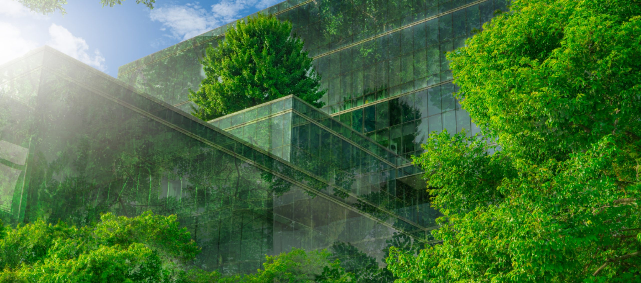 Workshop | Green Infrastructure & Biodiversity Net Gain