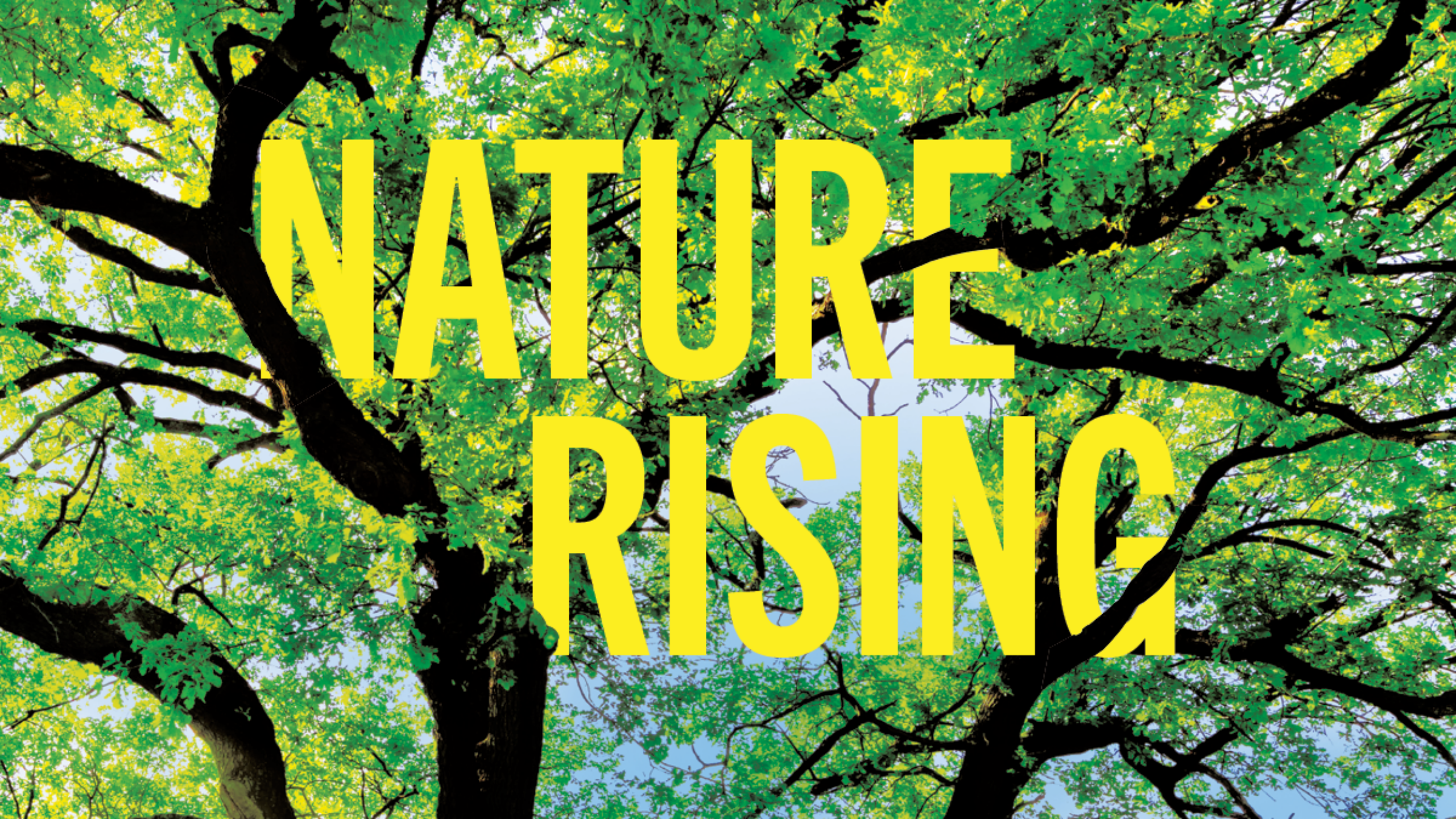 Nature Rising