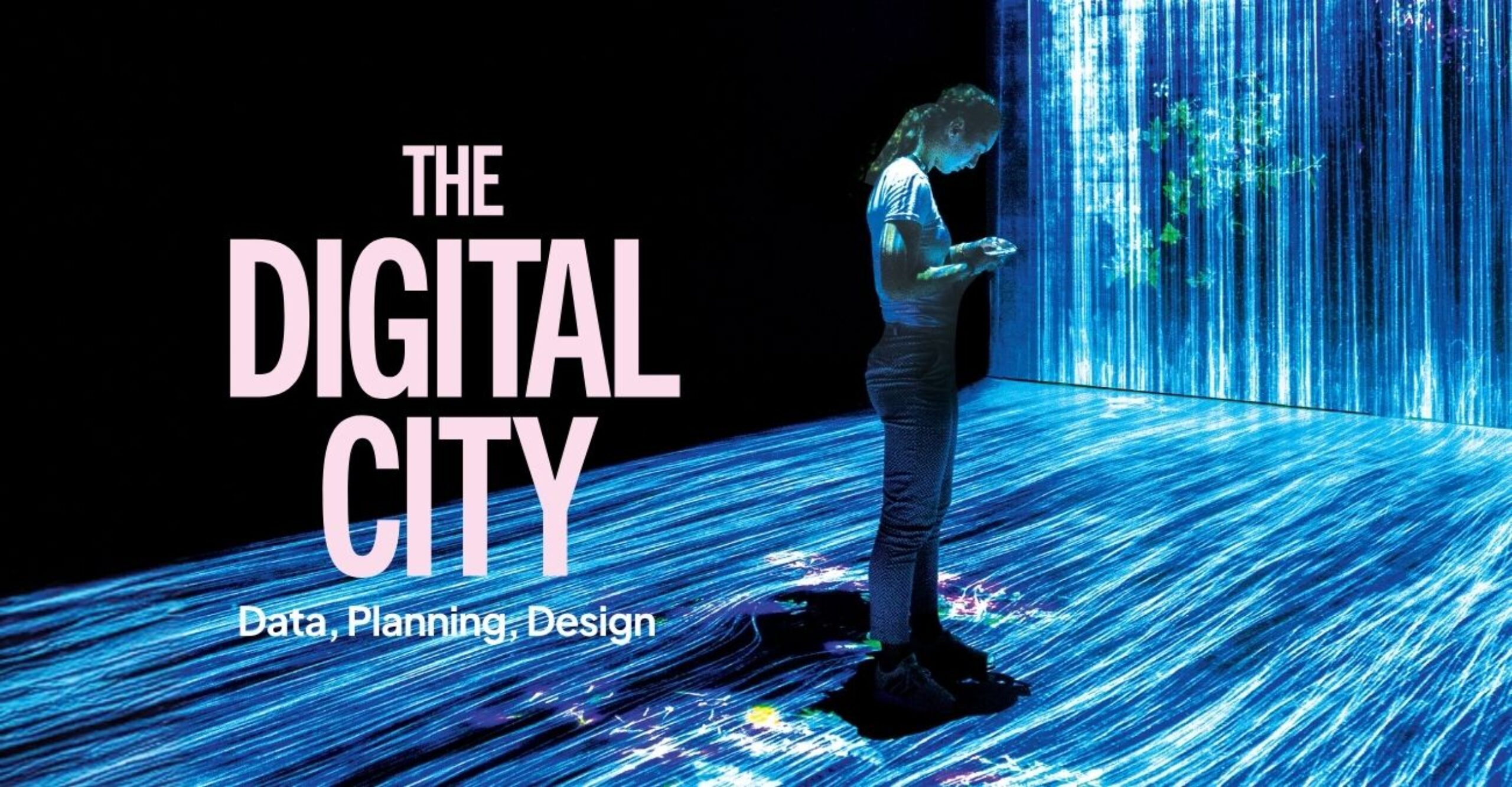 The Digital City