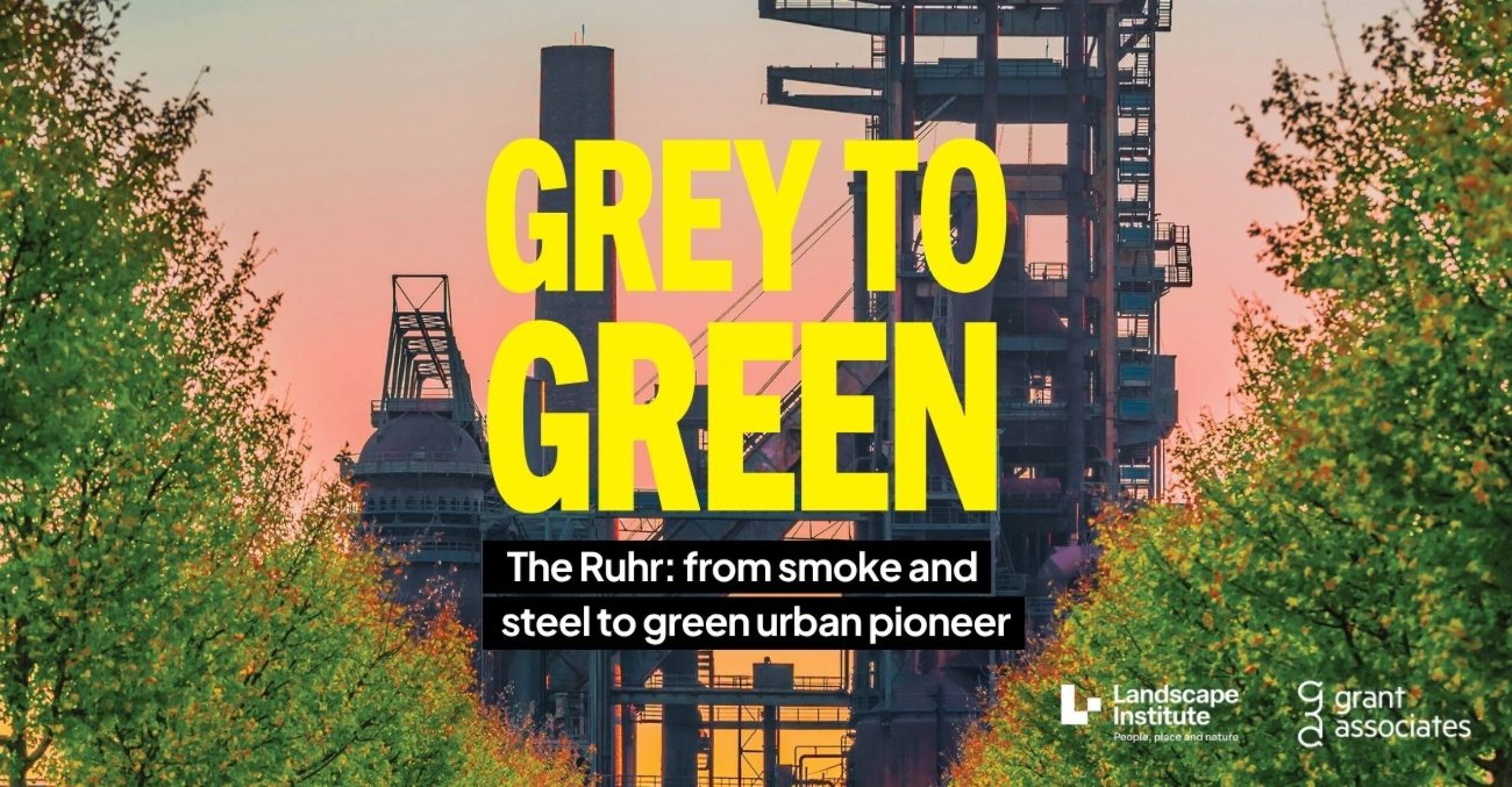 Grey to Green