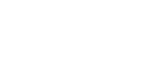 Dorset Council