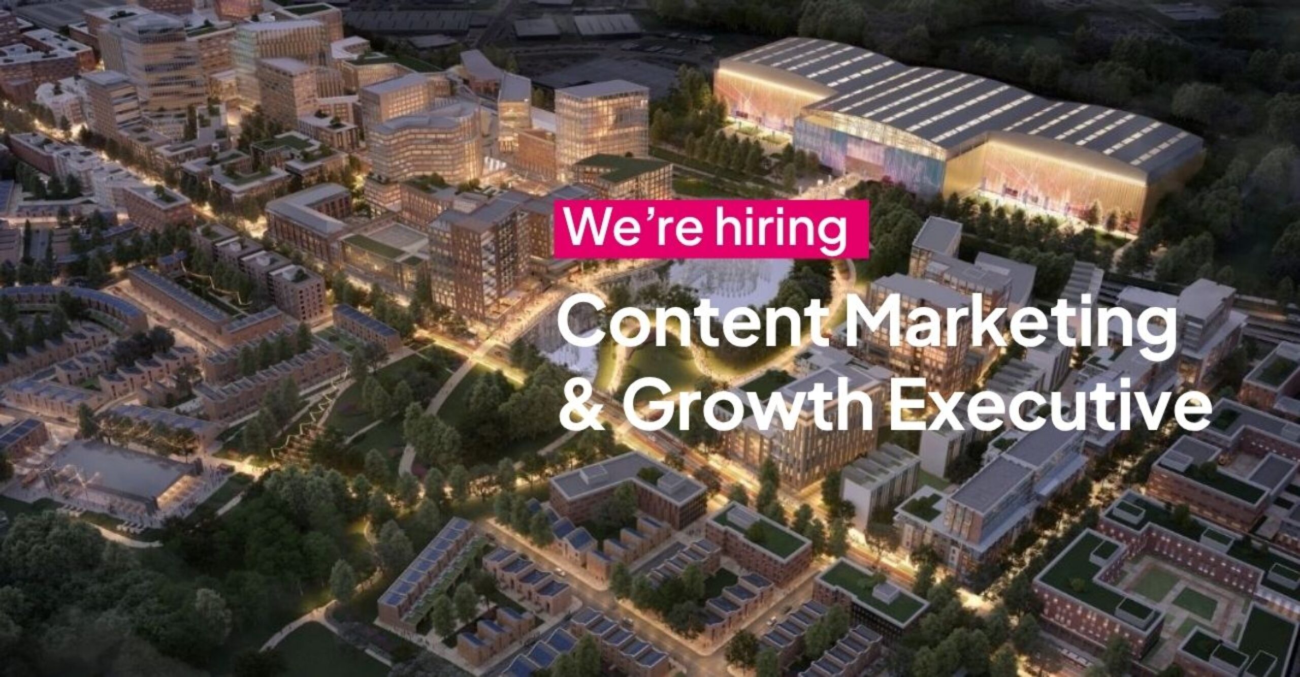 Job | Content Marketing &amp; Growth Executive