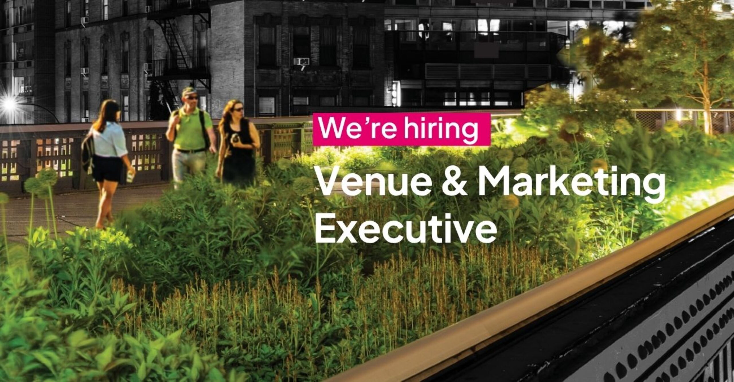 Job | Venue &amp; Marketing Executive
