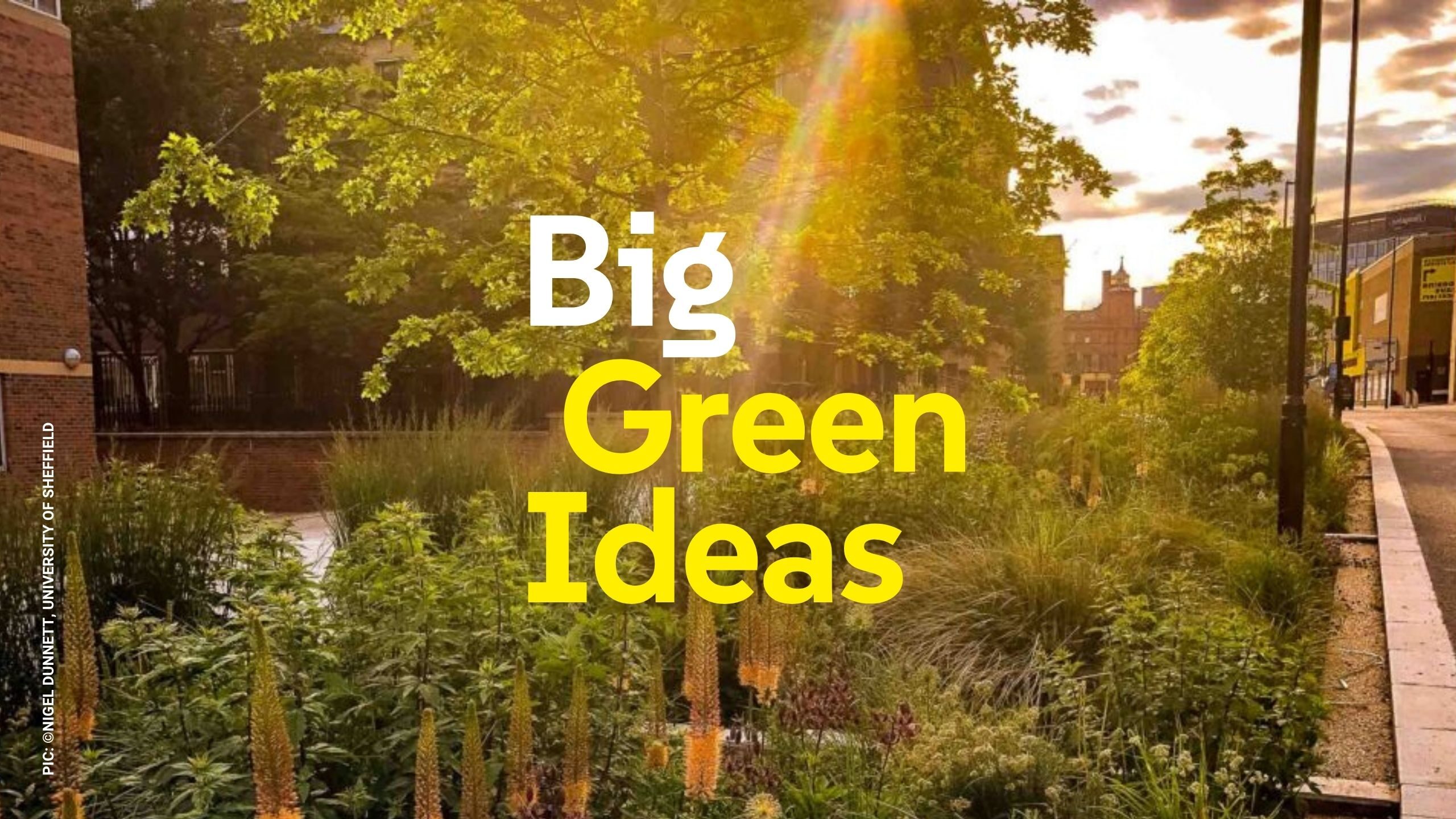 Big Green Ideas for bristol harbour