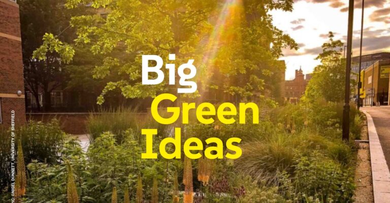Big Green Ideas for bristol harbour